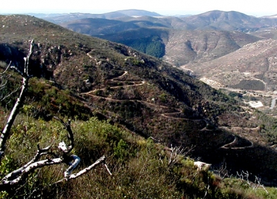 View video "Aerial View of Elfin Forest Recreational Reserve"