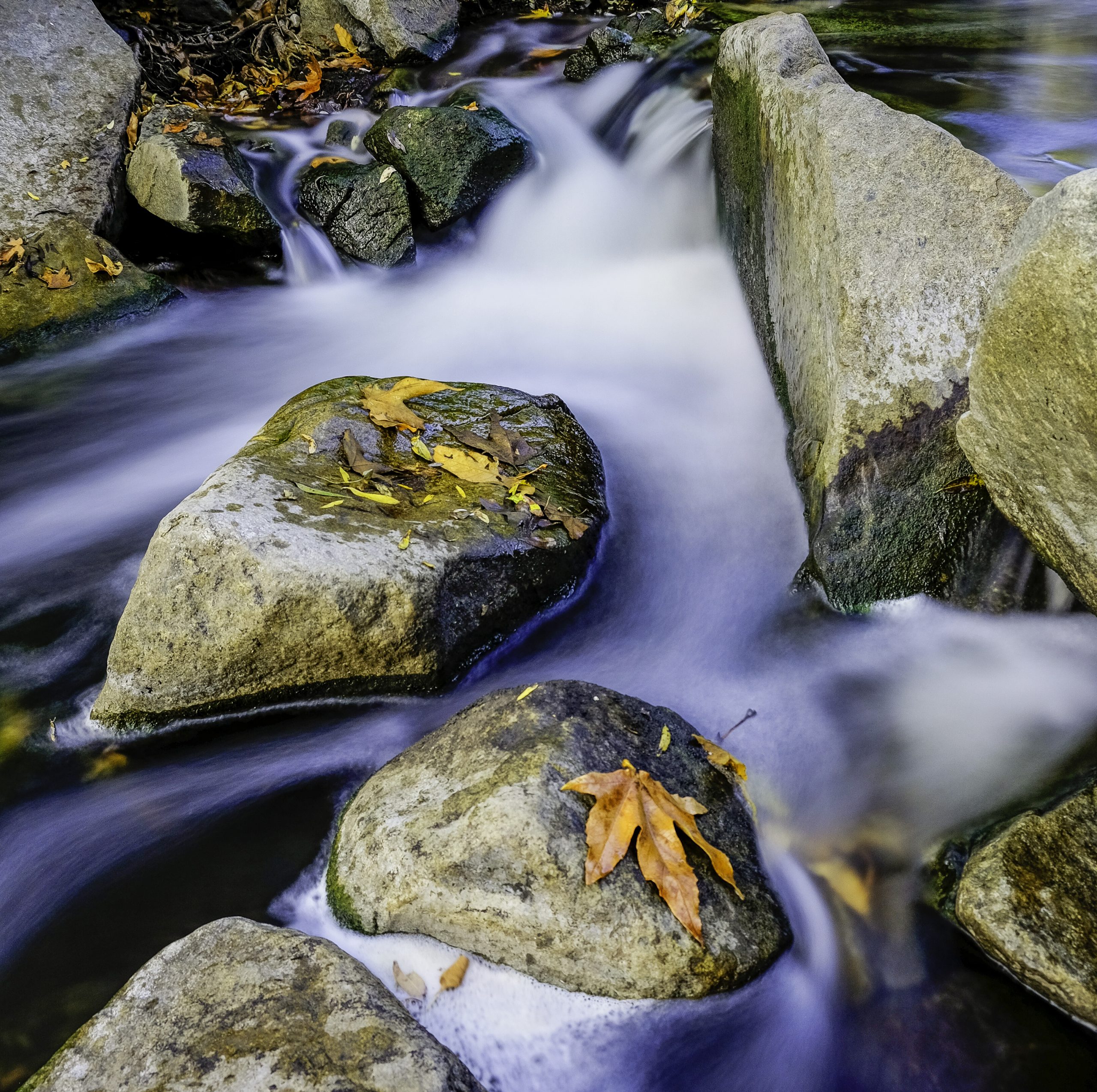rocks in stream