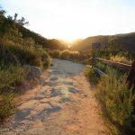 View post "Guided Hike with Elfin Forest Recreational Reserve Docent Randy Boyer"