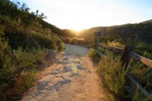 View post "Guided Hike with Elfin Forest Recreational Reserve Docent Randy Boyer"