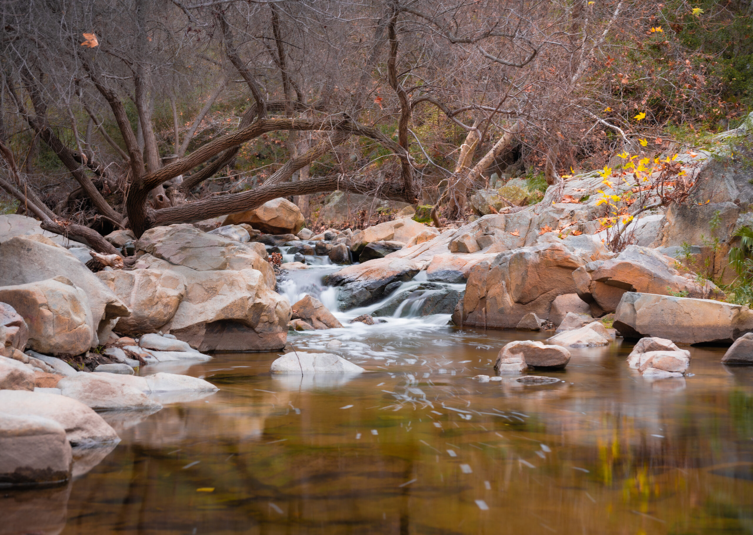 Escondido Creek