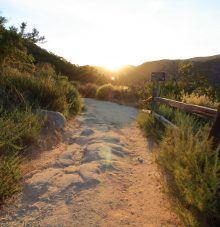 View details for event "Guided Hike with Elfin Forest Recreational Reserve Docent Randy Boyer"